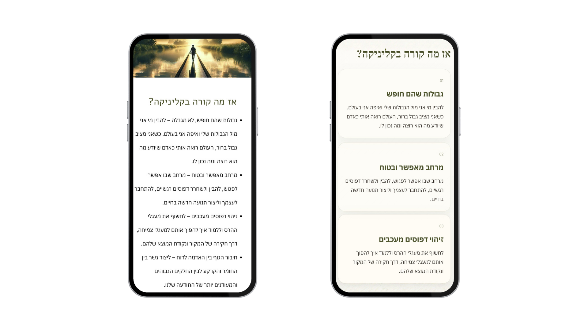 Dvir Nerya site — before and after, process section