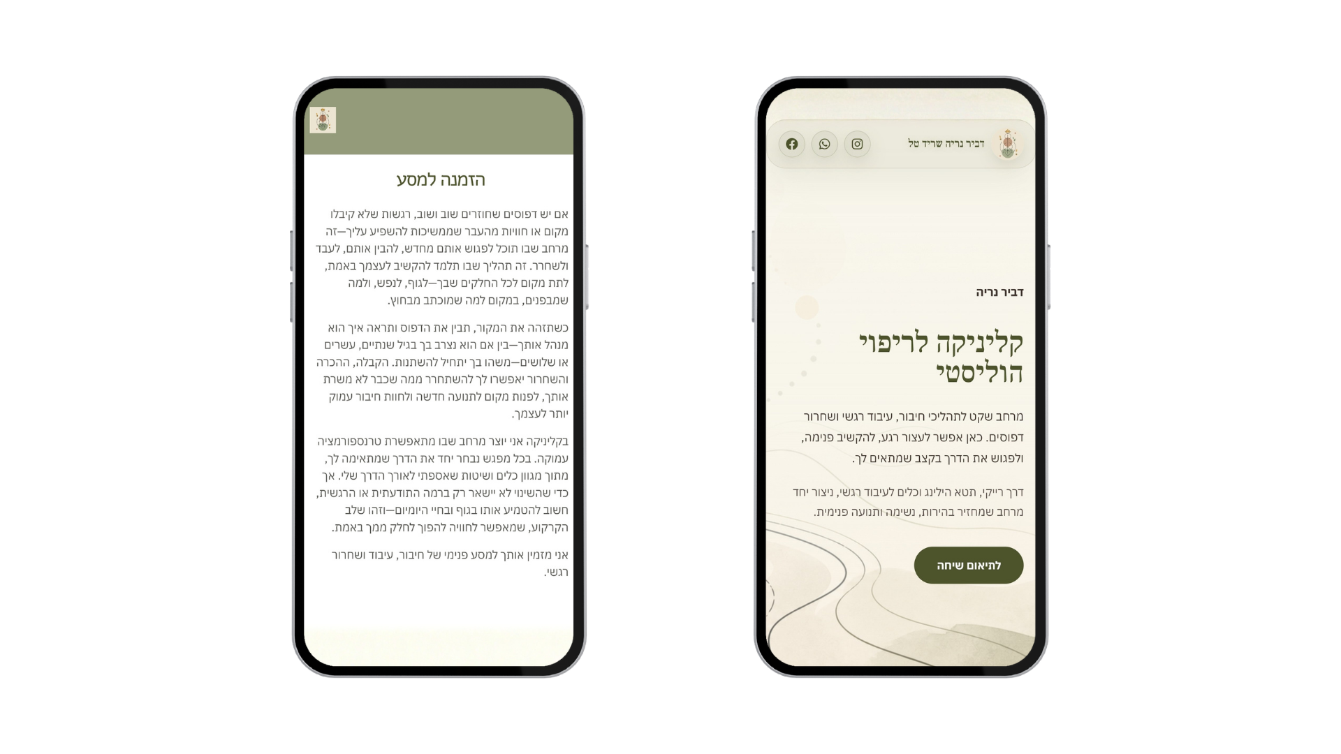 Dvir Nerya site — before and after, homepage hero
